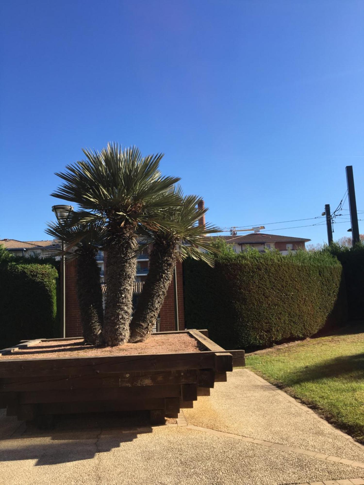 Toulouse Premium Appartement Parking Tramway Wifi Charmant Luaran gambar